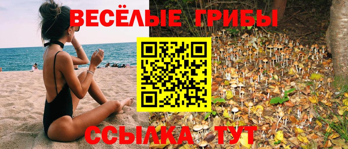 Галлюциногенные грибы Psilocybine cubensis  Вход с VPN  Ижевск 